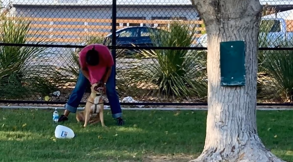 Jaycee Dog Park photo 2